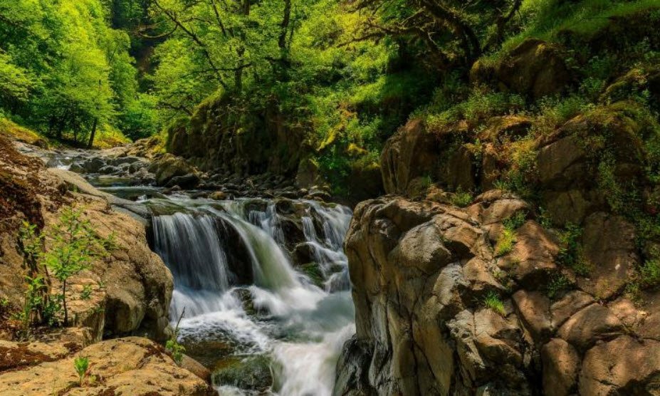 Hirkan National Park, Lankaran Region, Azerbaijan